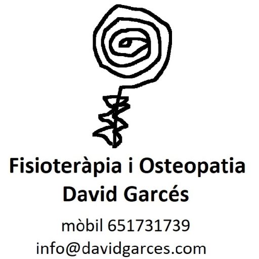 Fisioterapia y Osteopatía David Garcés